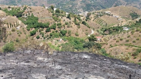 Zona de Almuñécar que se ha visto afectada por el incendio forestal (INFOCA)