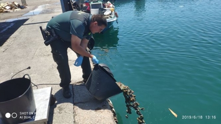 La Guardia Civil ha devuelto las anémonas al mar (OPC GUARDIA CIVIL) 