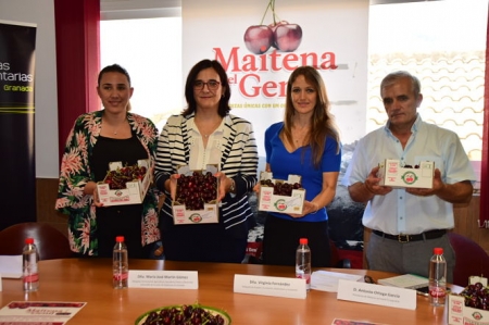 La Delegada de agricultura, Maria José Martín ha presentado la campaña de la cereza güejareña (JUNTA)