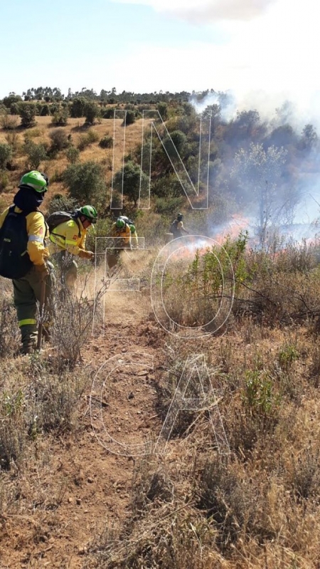 Miembros del Infoca trabajan en la extinción de un incendio (INFOCA / ARCHIVO)