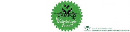 Logo de los campos de voluntariado juvenil (JUNTA)