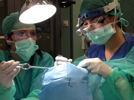 Momento de una cirugía bucal (JUNTA)