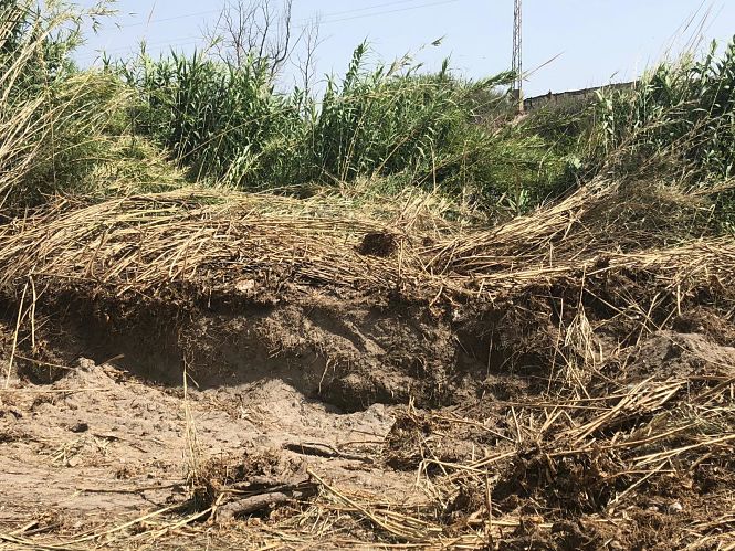 Estado del carril (PSOE MOTRIL)