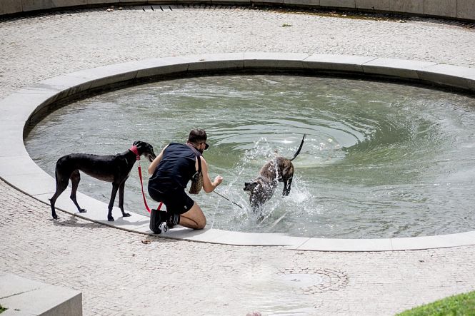 Fin de semana de calor en Granada (EUROPA PRESS) 