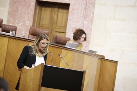 Concha Insúa en el Parlamento andaluz (CS) 