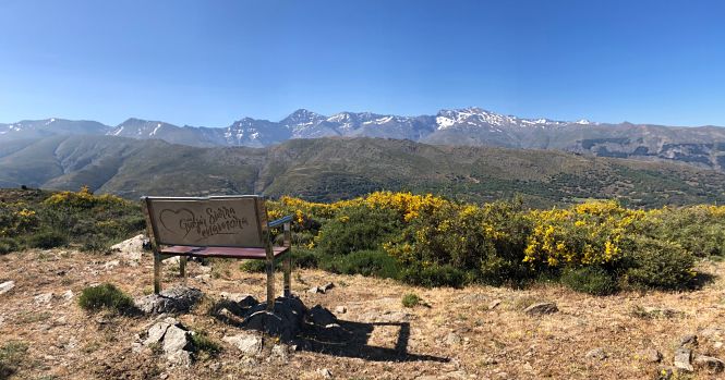 Uno de los bancos de Güejar Sierra (AYTO. GÜEJAR SIERRA)