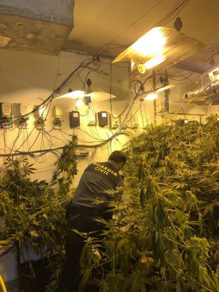 Marihuana incautada por la Guardia Civil (OPC GUARDIA CIVIL)