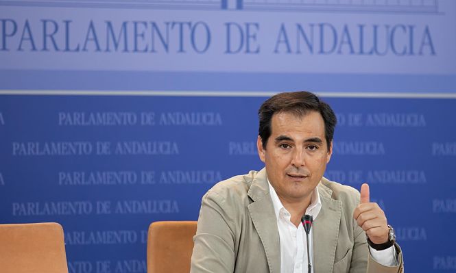 Rueda de prensa del portavoz parlamentario del PP-A, José Antonio Nieto (JESUS PRIETO / EUROPA PRESS)