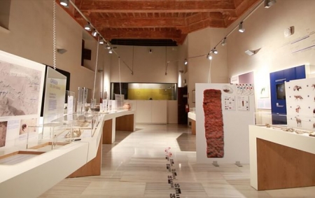 Expocisión `origenes en el altiplano granadino` (UGR)