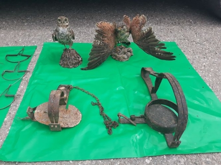 Cepos incautados por agentes de Medio Ambiente (JUNTA)