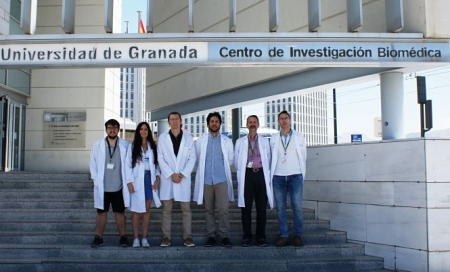 El equipo de investigadores de la UGR que ha realizado este trabajo, en el Centro de Investigación Biomédica (UGR)