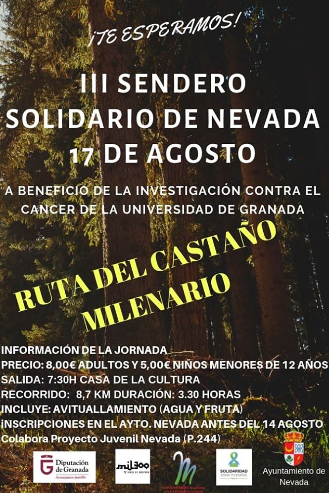 Verano solidario en Nevada