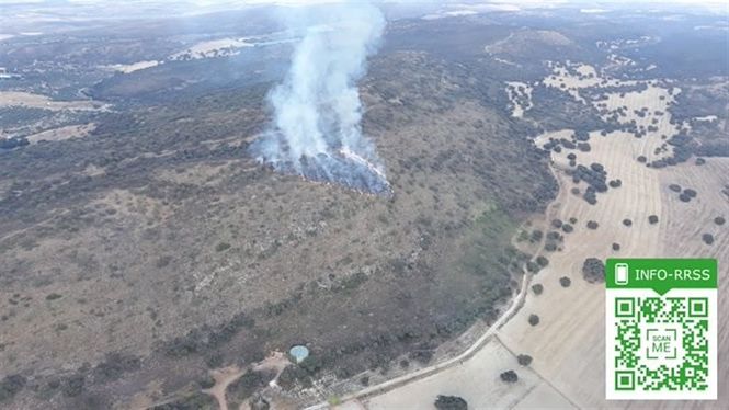 Zona donde se produjo el incendio de Agrón (INFOCA)