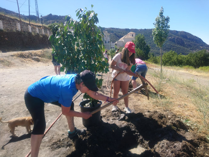 Taller de plantar árboles en Bubión (MDAD. APUJARRA)