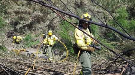 Miembros del Infoca en la extinción del incendio (INFOCA) 