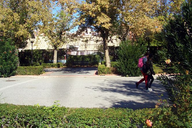 Paseo Profesor Juan Osorio (JUNTA)