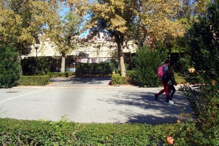 Paseo Profesor Juan Osorio (JUNTA)