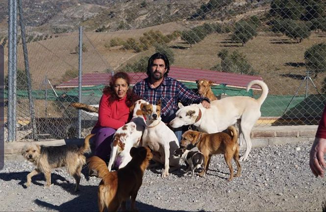 voluntarios del refugio de animales (PUEBLOS DE MOCLÍN) 