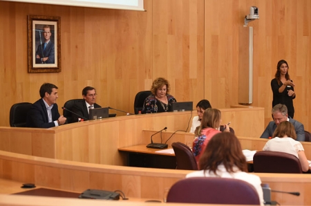 Pleno extraordinario de Diputación de Granada (R. MARTÍNEZ / DIPGRA) Pleno extraordinario de Diputación de Granada (R. MARTÍNEZ / DIPGRA)