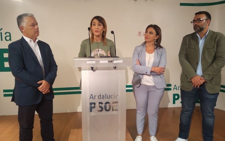 Olga Manzano en rueda de prensa (PSOE)