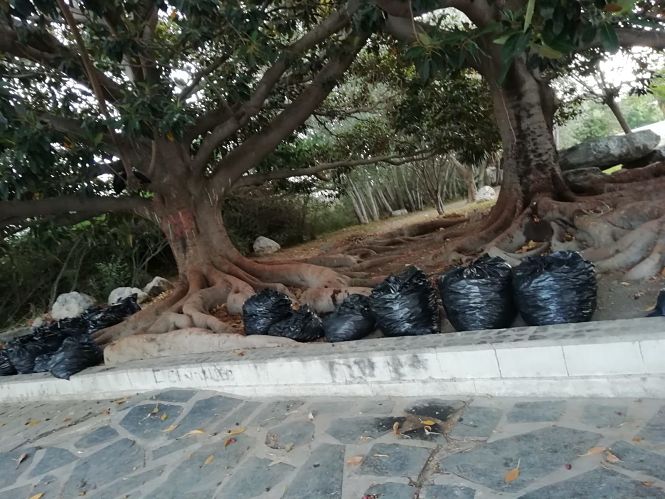 Sacas recogidas en un Parque de Salobreña (AYTO. SALOBREÑA)