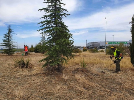 Mejora en una zona ajardinada de Guadix (AYTO. GUADIX) Mejora en una zona ajardinada de Guadix (AYTO. GUADIX)