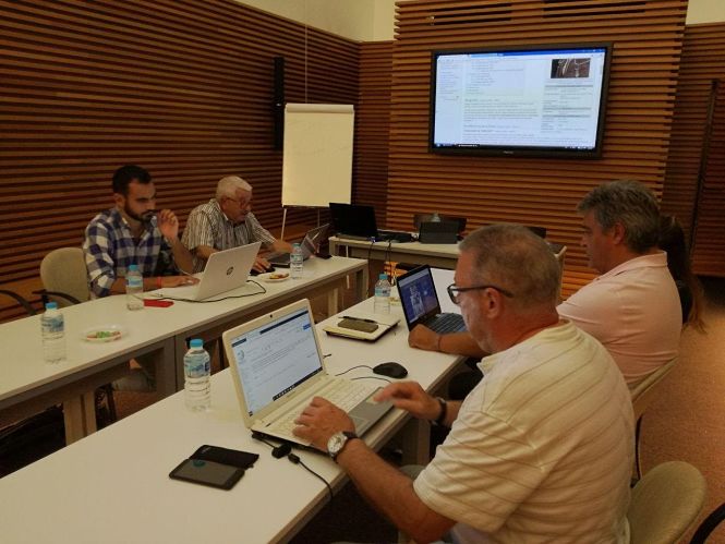 Preparación de  `Wikitauro` (FTL)