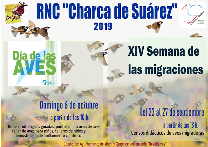 Motril, celebrará la semana de las migraciones y el Día de las Aves (AYTO. MOTRIL) 