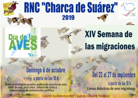 Motril, celebrará la semana de las migraciones y el Día de las Aves (AYTO. MOTRIL) Motril, celebrará la semana de las migraciones y el Día de las Aves (AYTO. MOTRIL)