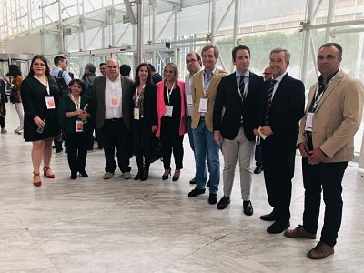 Consejo territorial de la FEMP Consejo territorial de la FEMP