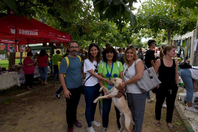 Feria de la adopción de mascotas (M. JIMÉNEZ / GRANADA) 