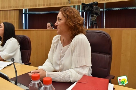 Mari Carmen Pérez, Diputada Provincial de Izquierda Unida (IU)