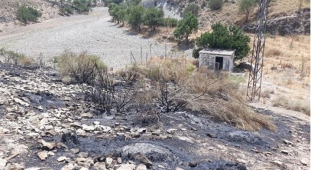 Zona afectada por el incendio (JUNTA)