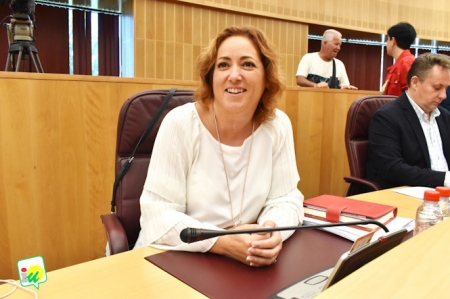 Maria del Carmen Pérez, Diputada Provincial de IU (IU) 