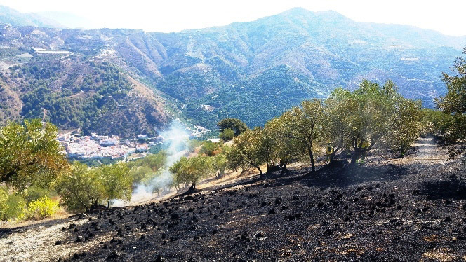 Zona donde se ha producido el incendio (AYTO. ALMUÑÉCAR)