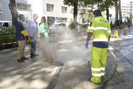 Plan de limpieza de cera en Granada (JAVIER ALGARRA) 