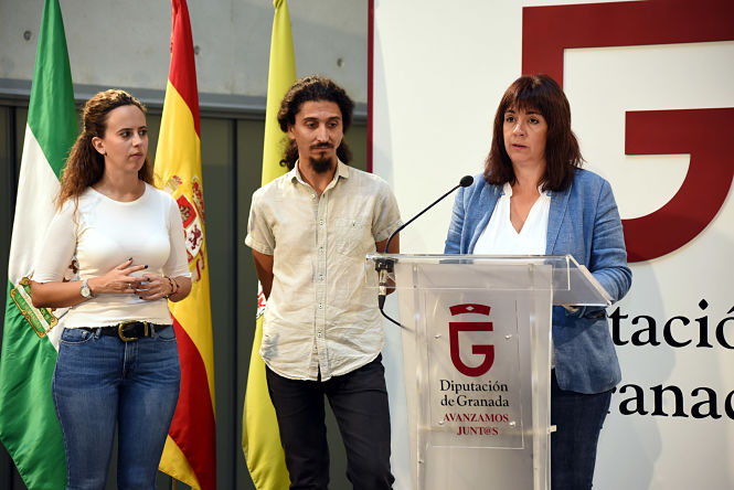 Presentación de la guia de accesibilidad cognitiva (J. GROSSO / DIPGRA)