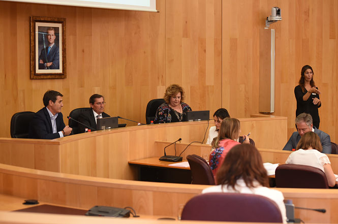 Pleno de la DIputación de Granada (R. MARtÍNEZ / DIPGRA)
