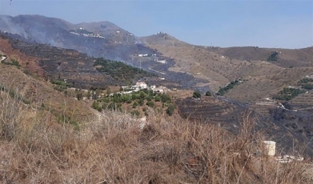 Zona afectada por el incendio (112)