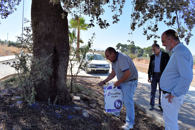 Un operario echa el tratamiento a la encina ante la mirada del concejal de El Chaparral, Juan Manuel Ocaña (AYTO. ALBOLOTE) 