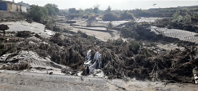 Efectos de la DANA en Altiplano de Granada (AGAPRO)