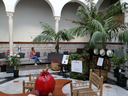 Perfume granadino Habana