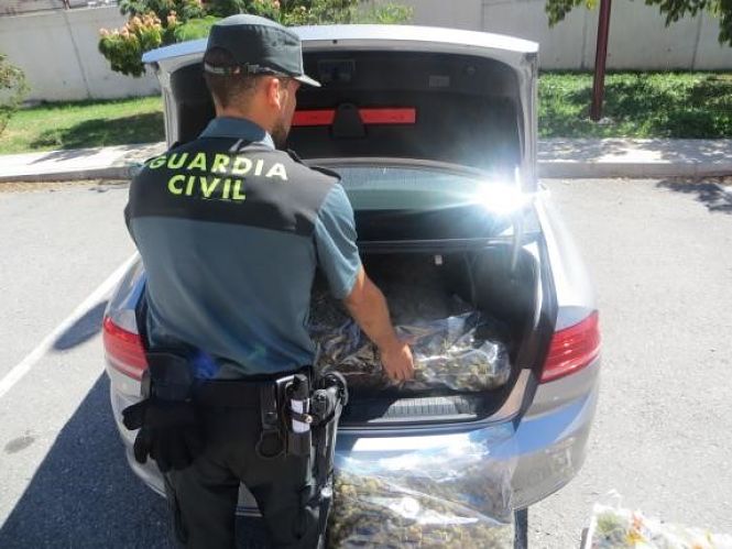 Coche Interceptado con la marihuana (GUARDIA CIVIL)