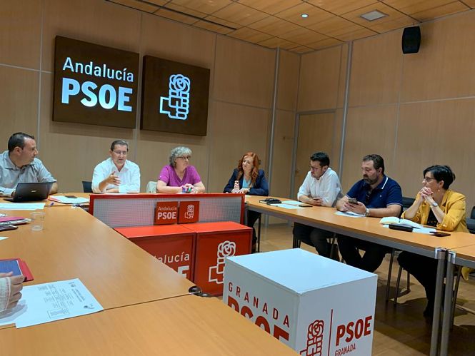 Ejecutiva provincial del PSOE (PSOE GRANADA) 