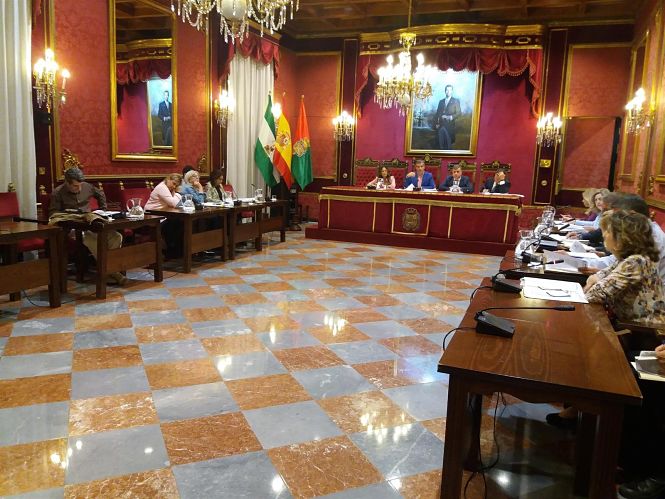 Pleno extraordinario del Ayuntamiento de Granada (EUROPA PRESS) 