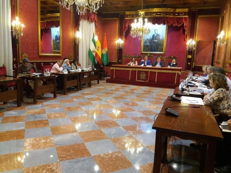 Pleno extraordinario del Ayuntamiento de Granada (EUROPA PRESS) 
