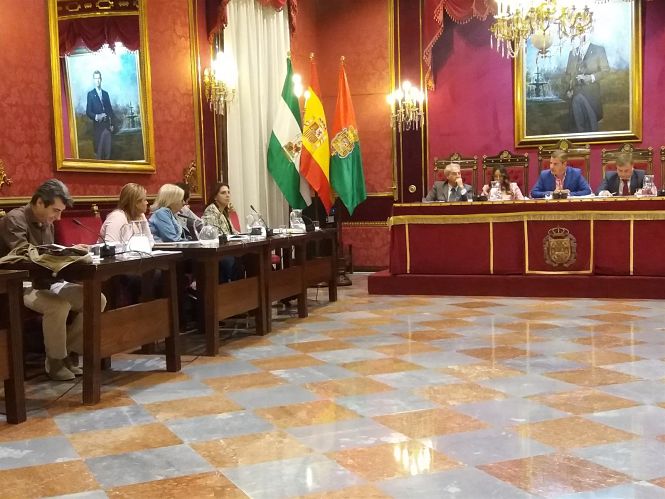 Pleno extraordinario del Ayuntamiento de Granada (EUROPA PRESS)