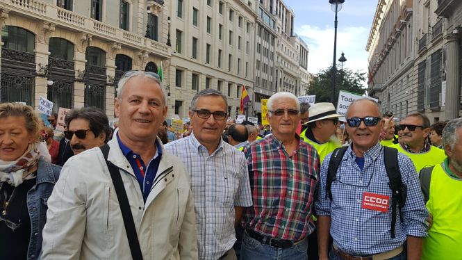 Miembros de IU Albolote han estado en la manifestación (PCA GRANADA) 