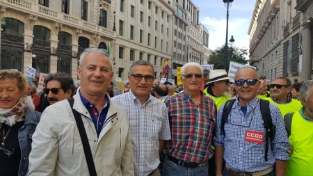 Miembros de IU Albolote han estado en la manifestación (PCA GRANADA) 