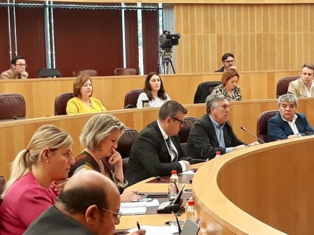 Grupo de Vox en Diputación (VOX)